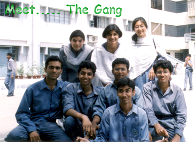 The Gang!
